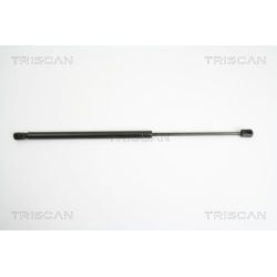 Dujinė spyruoklė, bagažinė TRISCAN 8710 18211