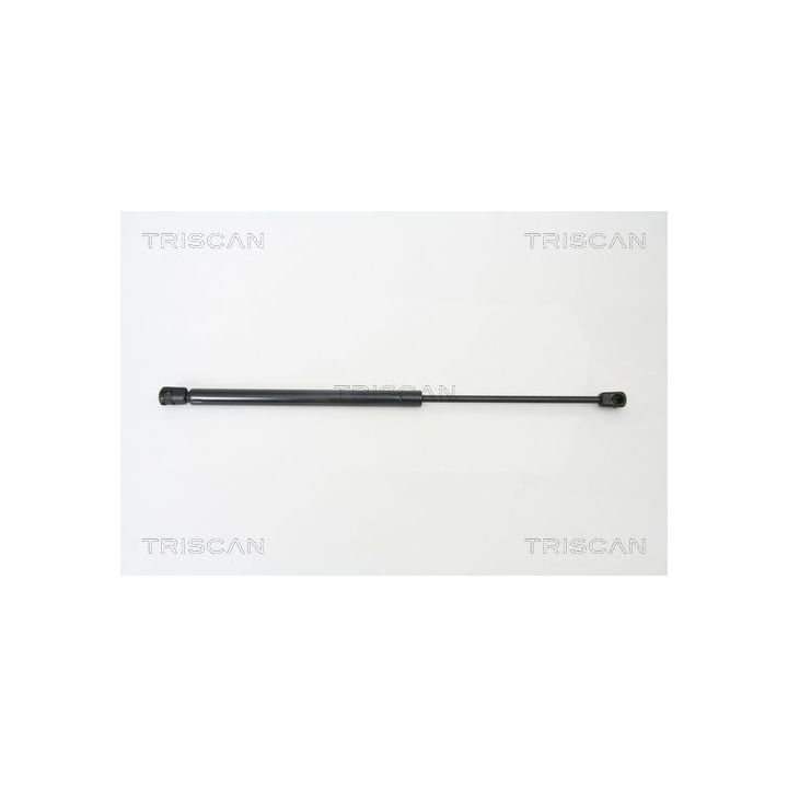 Dujinė spyruoklė, bagažinė TRISCAN 8710 18212