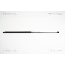 Dujinė spyruoklė, bagažinė TRISCAN 8710 18213