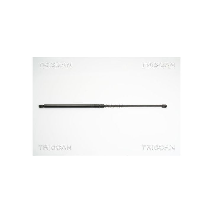 Dujinė spyruoklė, bagažinė TRISCAN 8710 18213