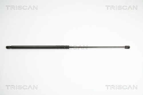 Dujinė spyruoklė, bagažinė TRISCAN 8710 18213