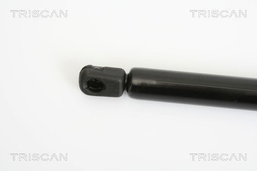 Dujinė spyruoklė, bagažinė TRISCAN 8710 18213