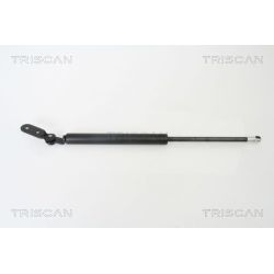 Dujinė spyruoklė, bagažinė TRISCAN 8710 18215