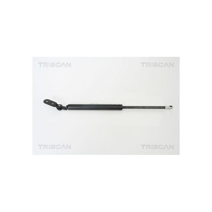 Dujinė spyruoklė, bagažinė TRISCAN 8710 18215