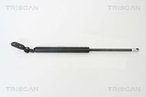 Dujinė spyruoklė, bagažinė TRISCAN 8710 18215