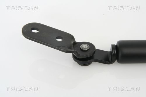 Dujinė spyruoklė, bagažinė TRISCAN 8710 18215