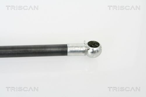 Dujinė spyruoklė, bagažinė TRISCAN 8710 18215
