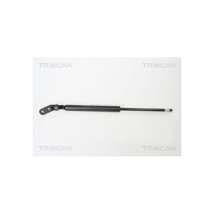 Dujinė spyruoklė, bagažinė TRISCAN 8710 18216