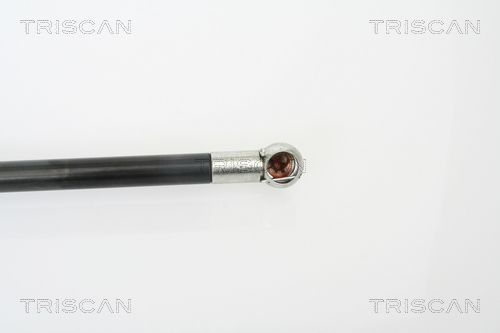 Dujinė spyruoklė, bagažinė TRISCAN 8710 18216