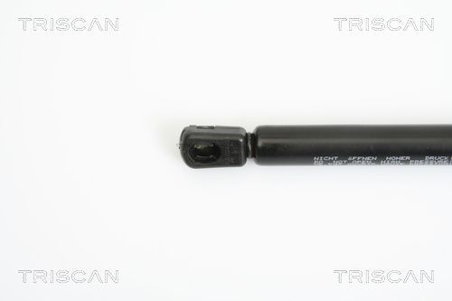 Dujinė spyruoklė, bagažinė TRISCAN 8710 18217