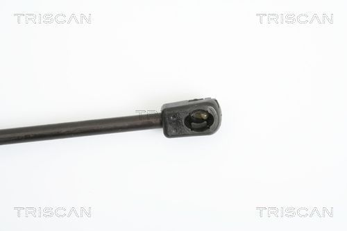 Dujinė spyruoklė, bagažinė TRISCAN 8710 18217