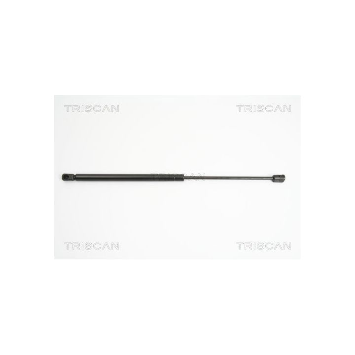 Dujinė spyruoklė, bagažinė TRISCAN 8710 18218
