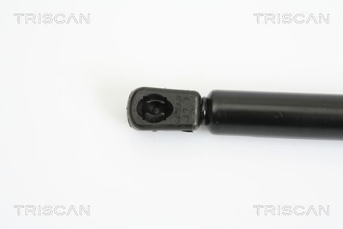 Dujinė spyruoklė, bagažinė TRISCAN 8710 18218