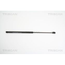 Dujinė spyruoklė, bagažinė TRISCAN 8710 18219