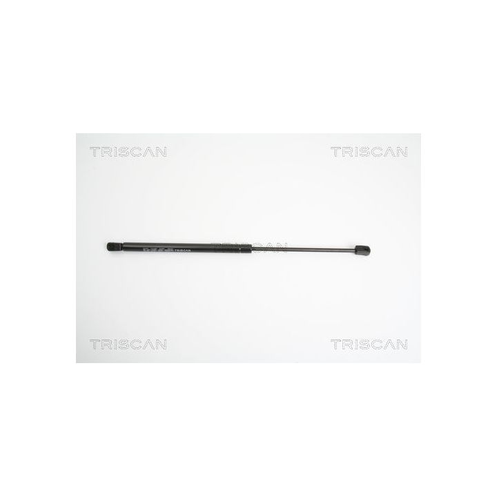 Dujinė spyruoklė, bagažinė TRISCAN 8710 18219