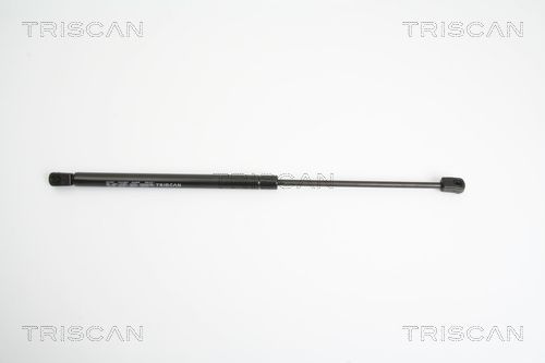 Dujinė spyruoklė, bagažinė TRISCAN 8710 18219