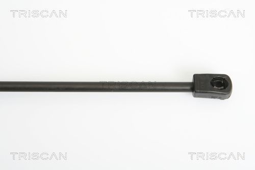 Dujinė spyruoklė, bagažinė TRISCAN 8710 18219