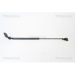 Dujinė spyruoklė, bagažinė TRISCAN 8710 18221