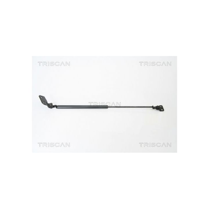 Dujinė spyruoklė, bagažinė TRISCAN 8710 18221