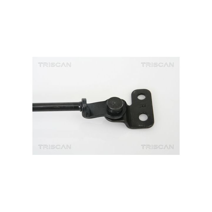 Dujinė spyruoklė, bagažinė TRISCAN 8710 18221