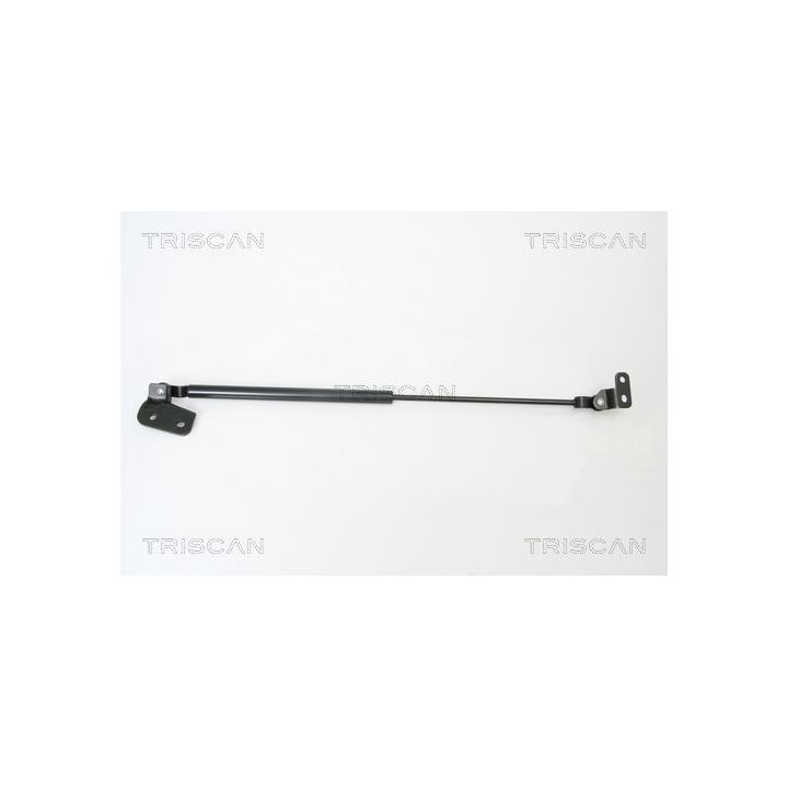 Dujinė spyruoklė, bagažinė TRISCAN 8710 18222