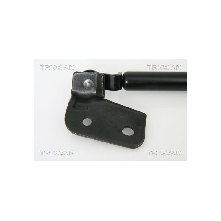 Dujinė spyruoklė, bagažinė TRISCAN 8710 18222