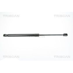 Dujinė spyruoklė, bagažinė TRISCAN 8710 18223