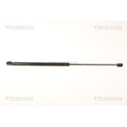 Dujinė spyruoklė, bagažinė TRISCAN 8710 18225