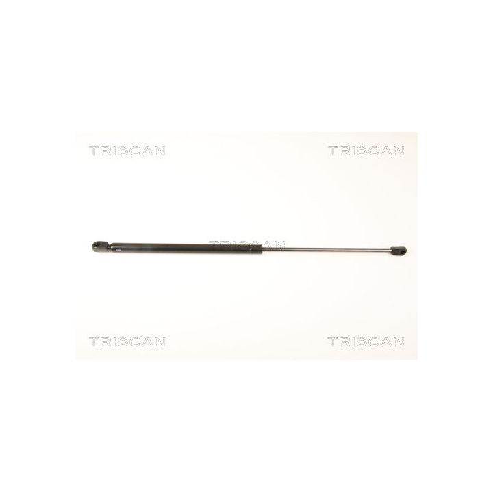 Dujinė spyruoklė, bagažinė TRISCAN 8710 18225