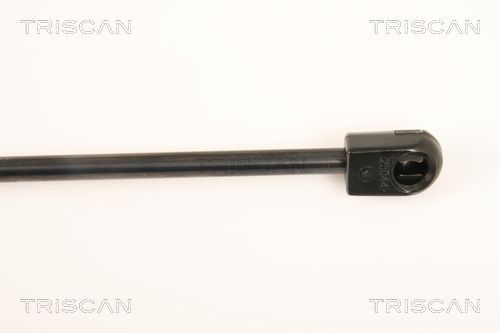 Dujinė spyruoklė, bagažinė TRISCAN 8710 18225