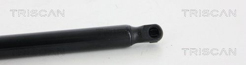 Dujinė spyruoklė, bagažinė TRISCAN 8710 18226