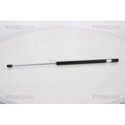 Dujinė spyruoklė, bagažinė TRISCAN 8710 18228