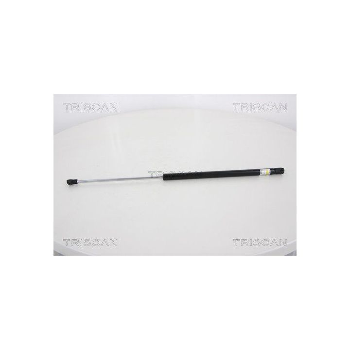 Dujinė spyruoklė, bagažinė TRISCAN 8710 18228