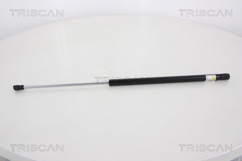 Dujinė spyruoklė, bagažinė TRISCAN 8710 18228