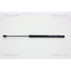Dujinė spyruoklė, bagažinė TRISCAN 8710 18230