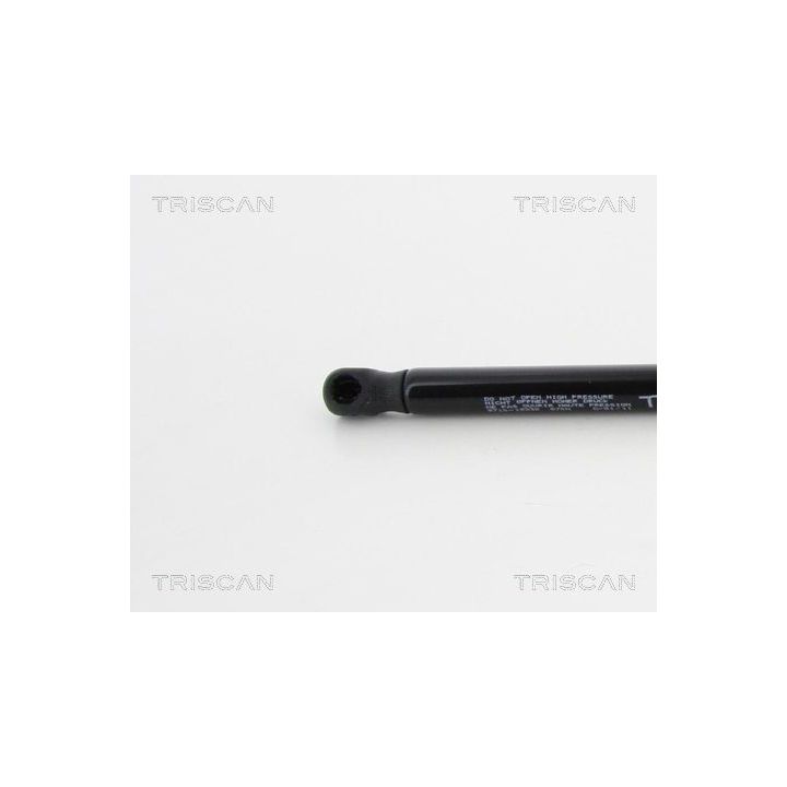 Dujinė spyruoklė, bagažinė TRISCAN 8710 18232