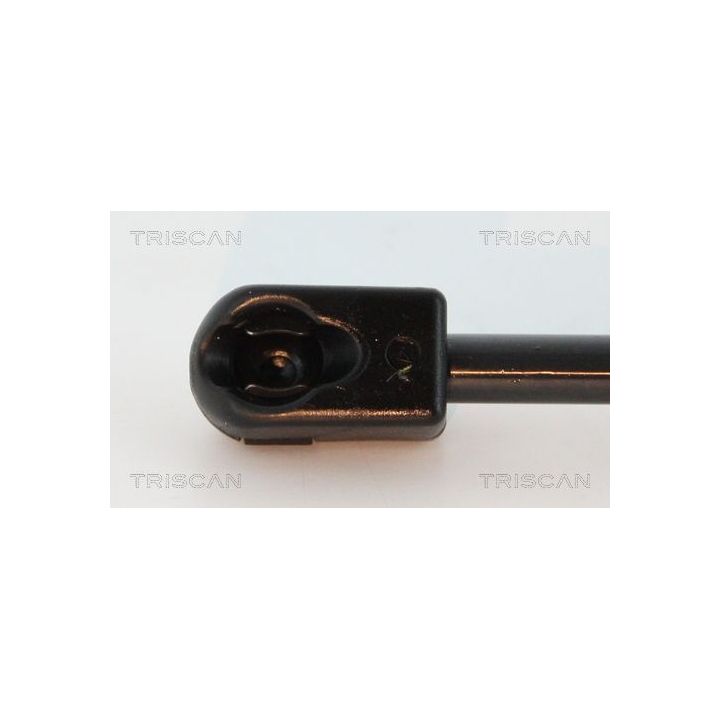 Dujinė spyruoklė, bagažinė TRISCAN 8710 18235