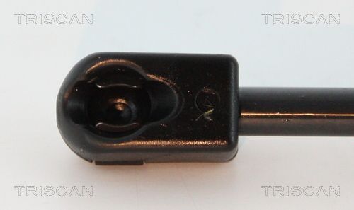 Dujinė spyruoklė, bagažinė TRISCAN 8710 18235