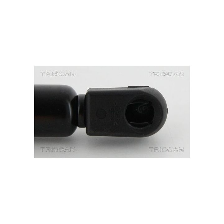 Dujinė spyruoklė, bagažinė TRISCAN 8710 18235