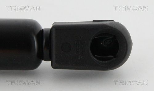 Dujinė spyruoklė, bagažinė TRISCAN 8710 18235