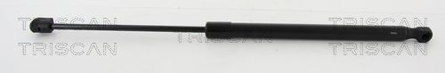 Dujinė spyruoklė, bagažinė TRISCAN 8710 18237