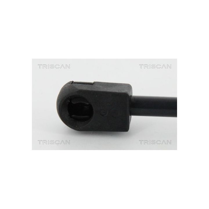 Dujinė spyruoklė, bagažinė TRISCAN 8710 18237