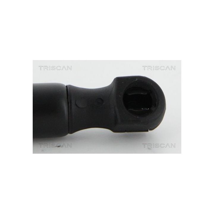 Dujinė spyruoklė, bagažinė TRISCAN 8710 18237