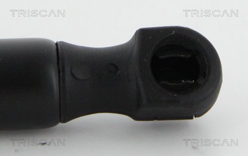 Dujinė spyruoklė, bagažinė TRISCAN 8710 18237