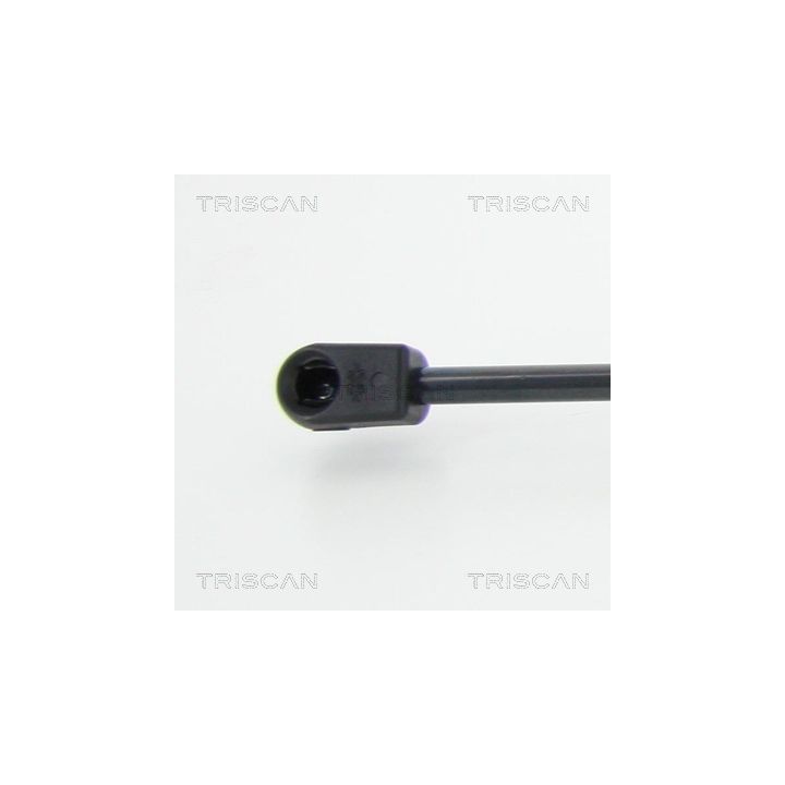 Dujinė spyruoklė, bagažinė TRISCAN 8710 18239