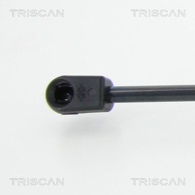 Dujinė spyruoklė, bagažinė TRISCAN 8710 18239
