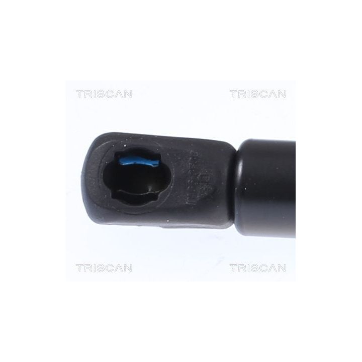 Dujinė spyruoklė, bagažinė TRISCAN 8710 18244