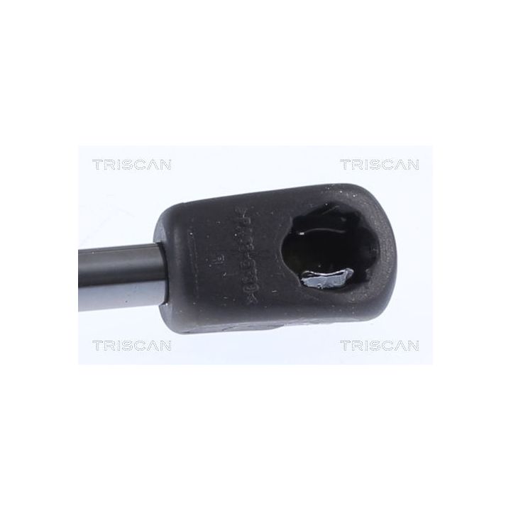 Dujinė spyruoklė, bagažinė TRISCAN 8710 18244