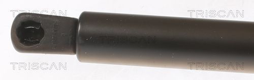 Dujinė spyruoklė, bagažinė TRISCAN 8710 18245