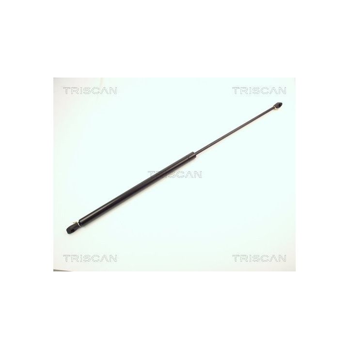 Dujinė spyruoklė, bagažinė TRISCAN 8710 2004